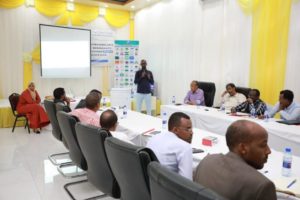 UNDP Somalia capacity-building workshop elections political parties